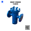 basket strainer flanged