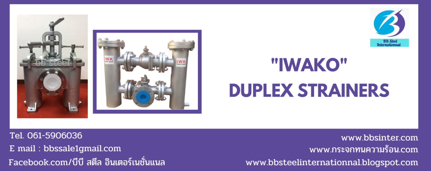 Strainer Duplex Filter