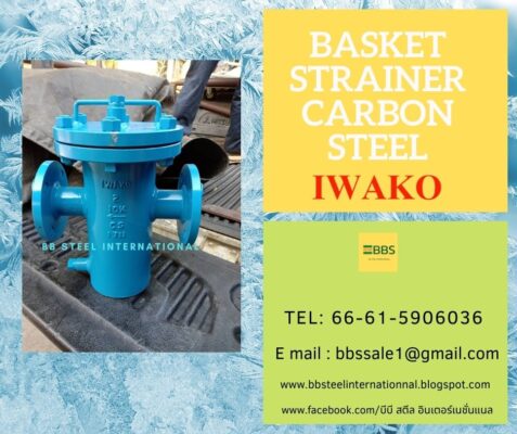 basket strainer carbon steel