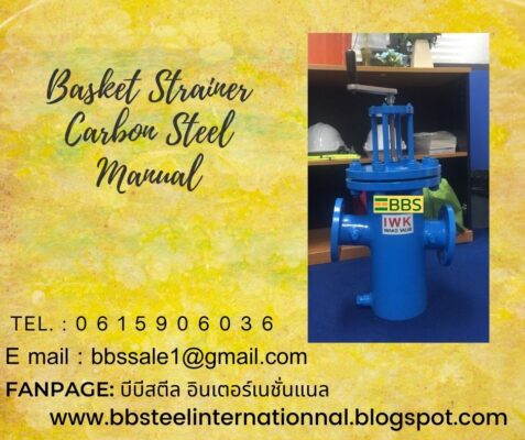basket strainer manual