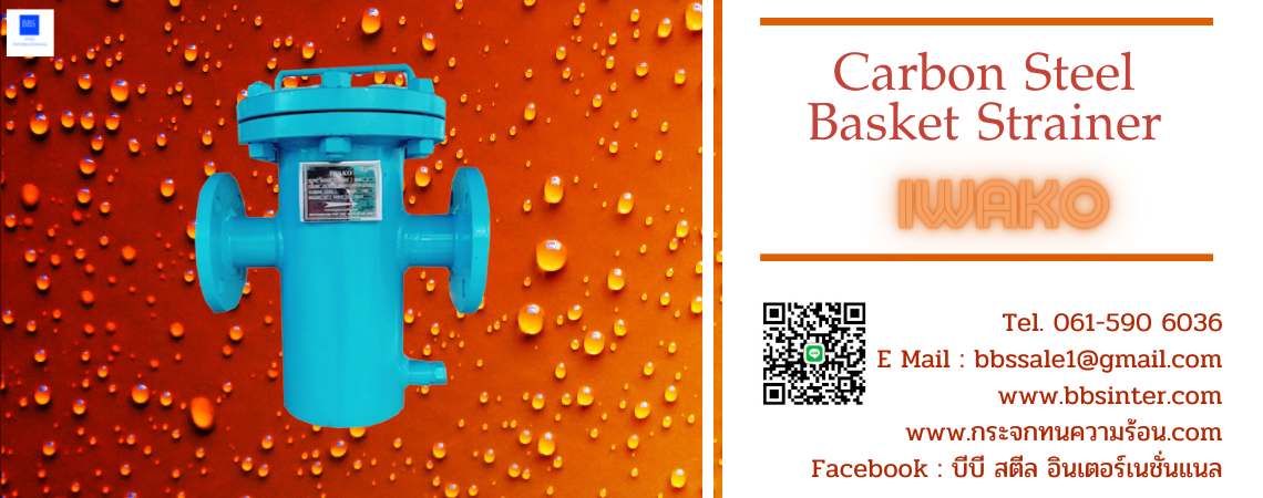 carbon steel basket strainer