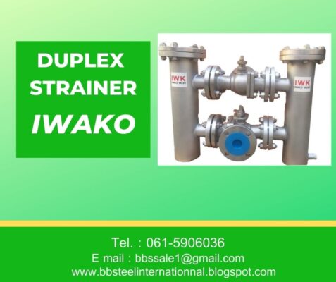 duplex strainer basket