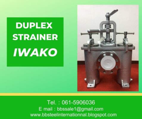 duplex strainer filter