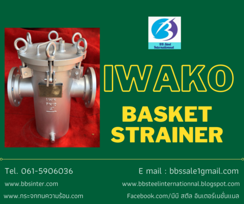 swing eye bolt basket strainer