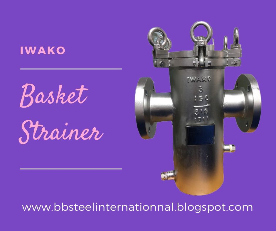swing eye bolt basket strainer