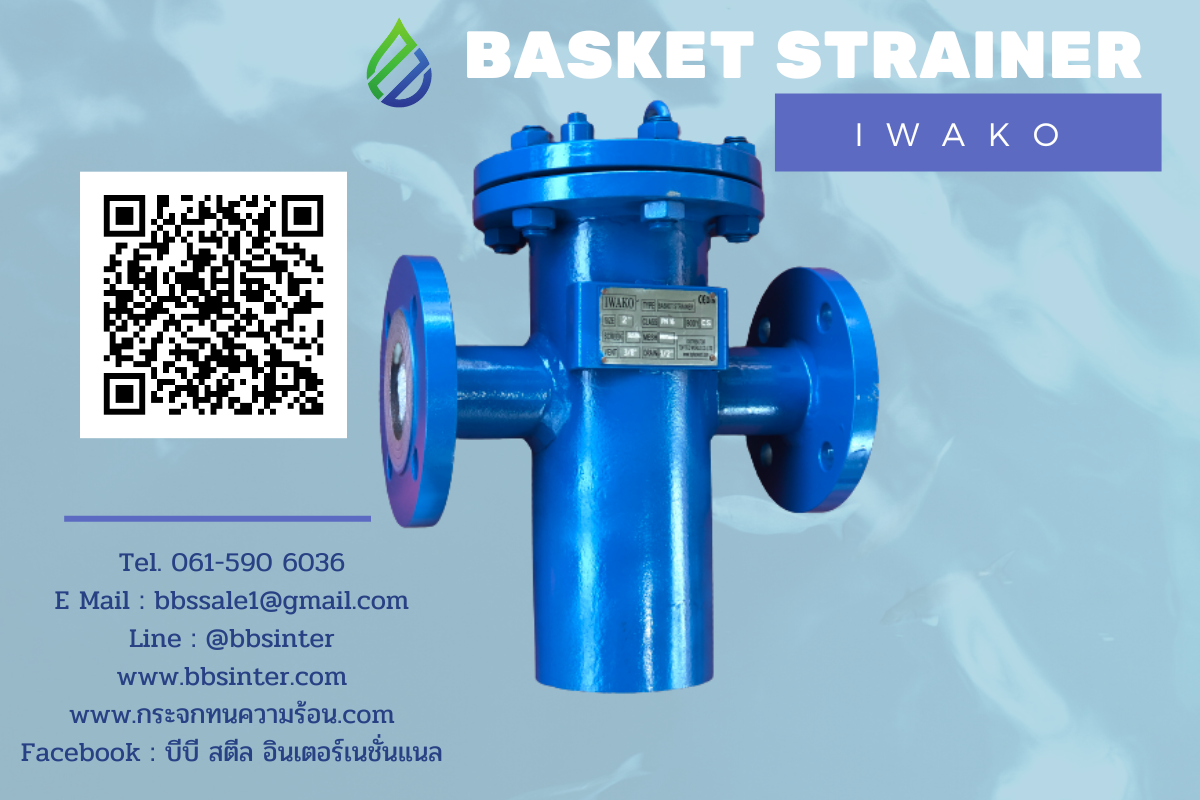 water strainer filter basket
