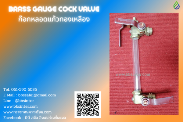 brass gauge cock valve