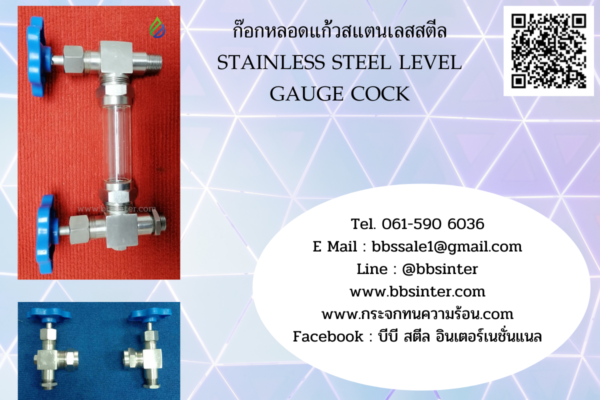stainless steel water gauge cock