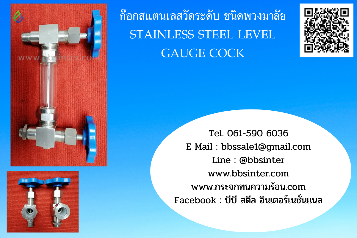 ก๊อกสแตนเลสวัดระดับ