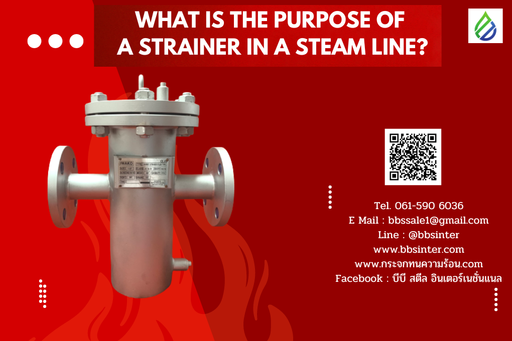 What is the purpose of a strainer in a steam line?