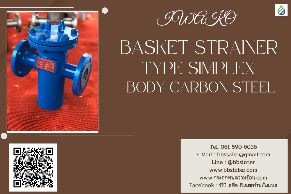 basket strainer carbon steel simplex