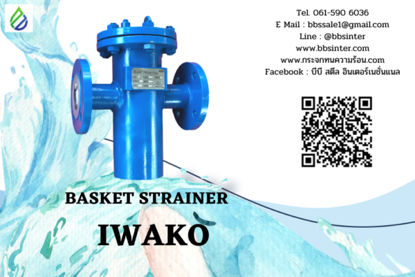 basket strainer filter protection