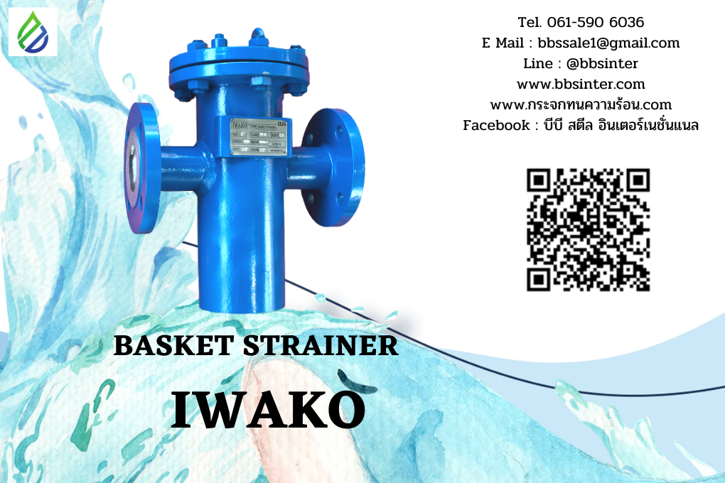 basket strainer filter protection