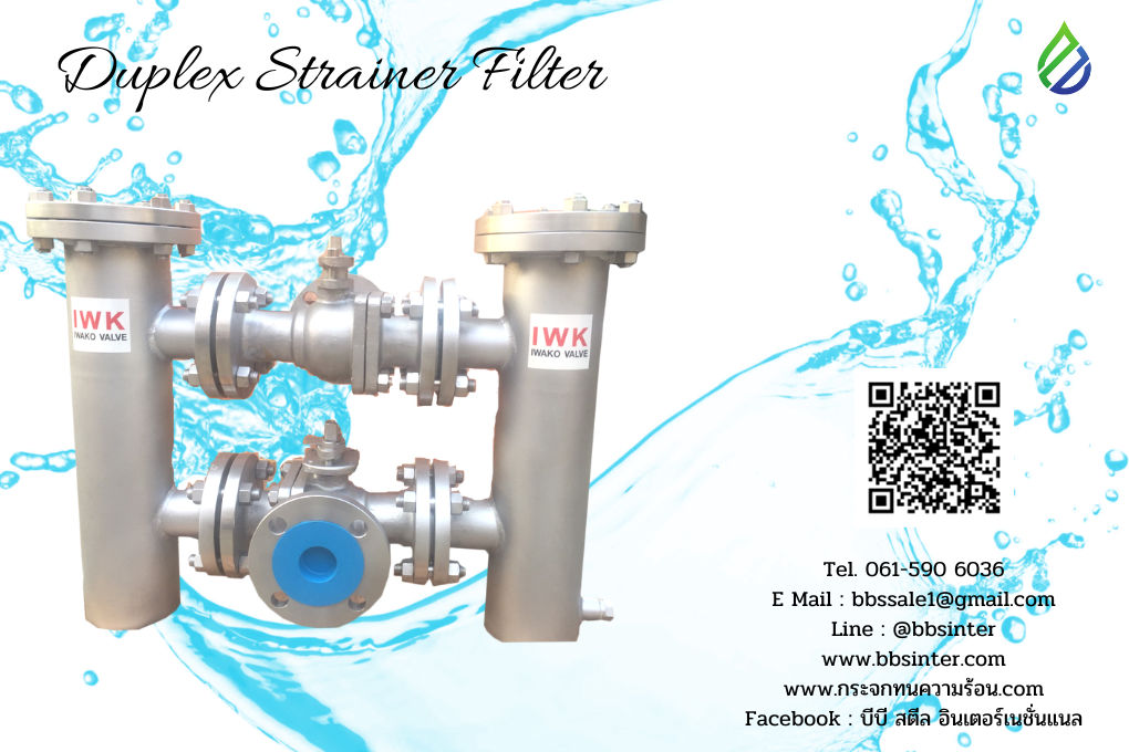 duplex strainer filter