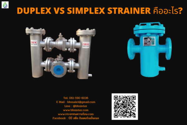 duplex vs simplex strainer