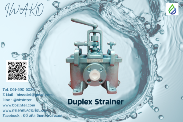guide to duplex basket strainer