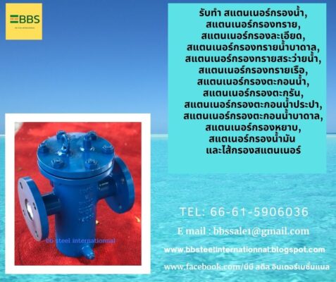 Simplex Strainer