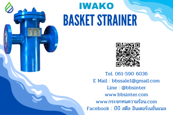 basket strainer คืออะไร