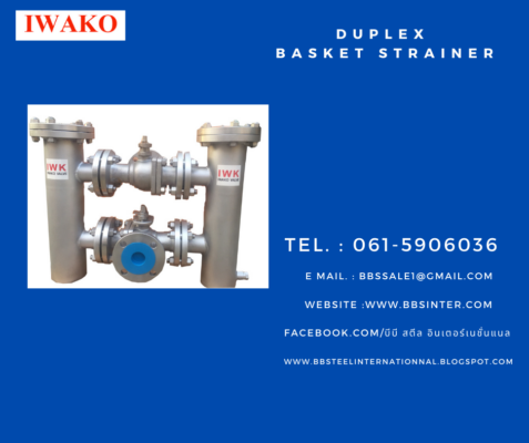 Duplex Basket Strainer (ตัวกรองตะกร้าคู่)