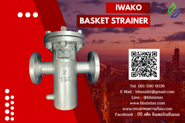 Simplex Basket Strainer (ตัวกรองตะกร้าเดี่ยว)