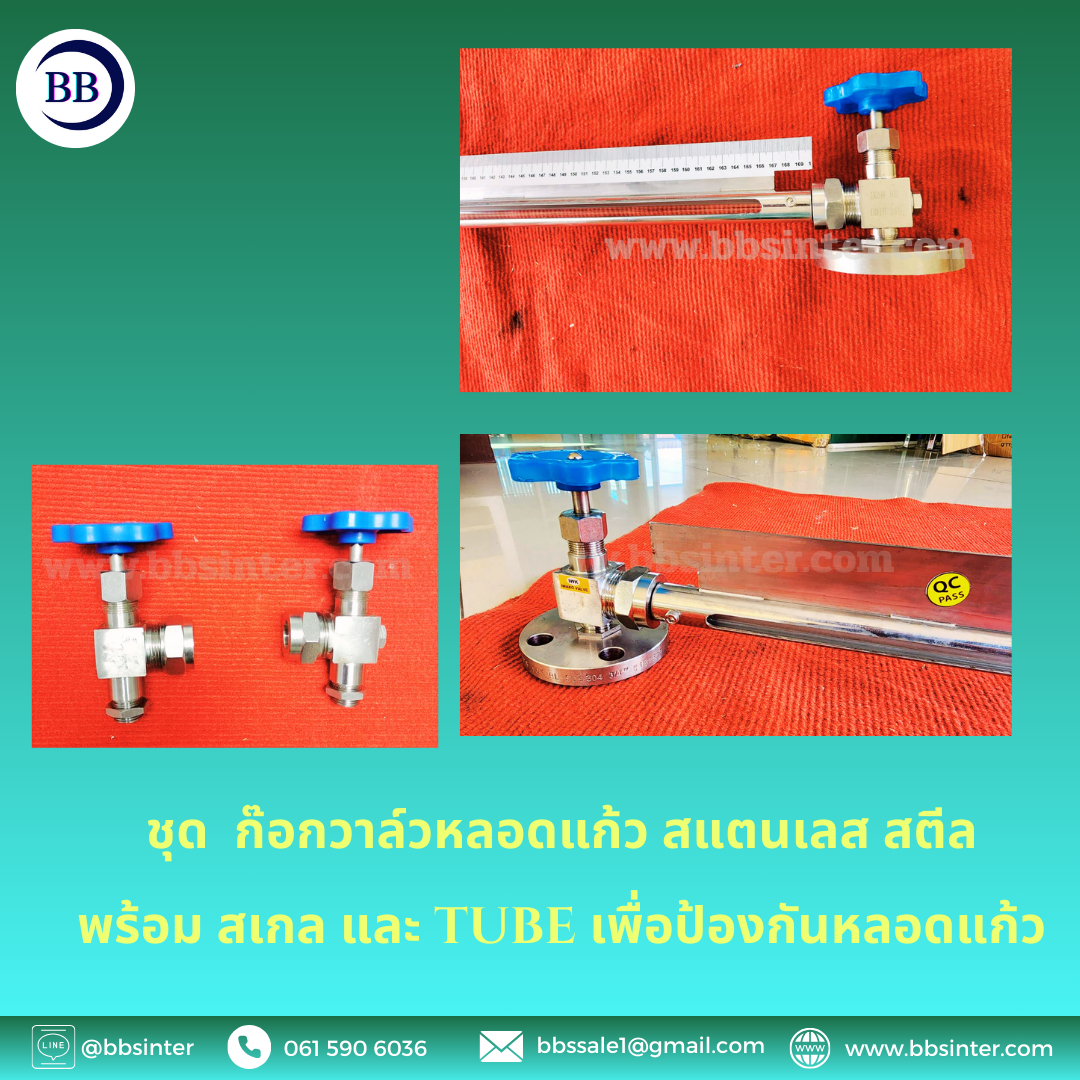 Stainless Steel Gauge Cock with Tube Sight Glass