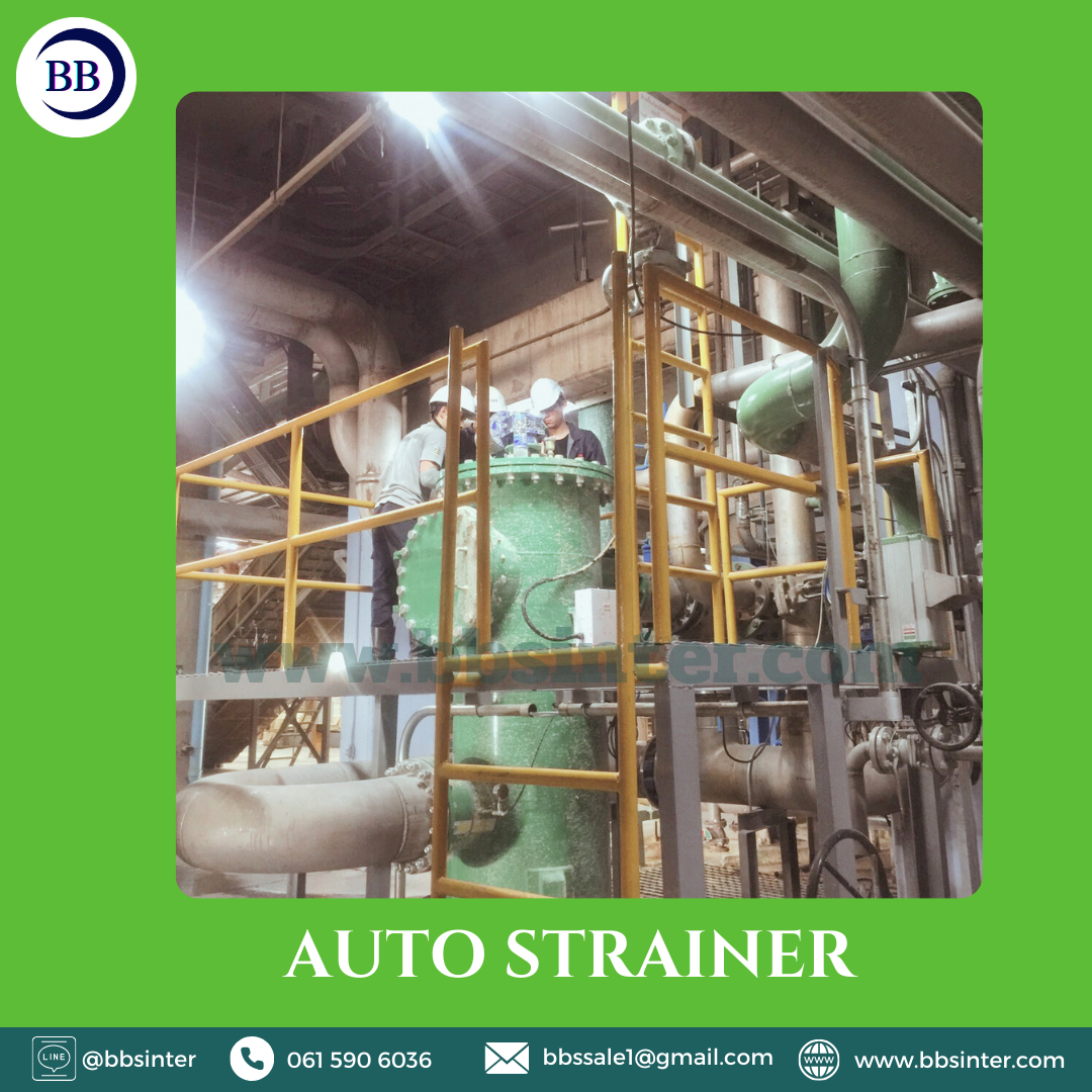 auto strainer filter