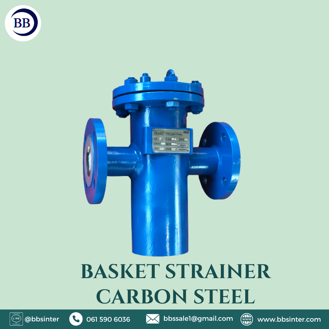basket strainer carbon steel