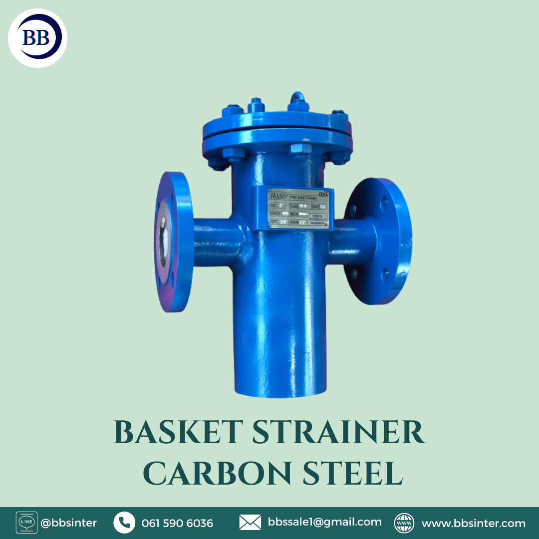 basket strainer carbon steel