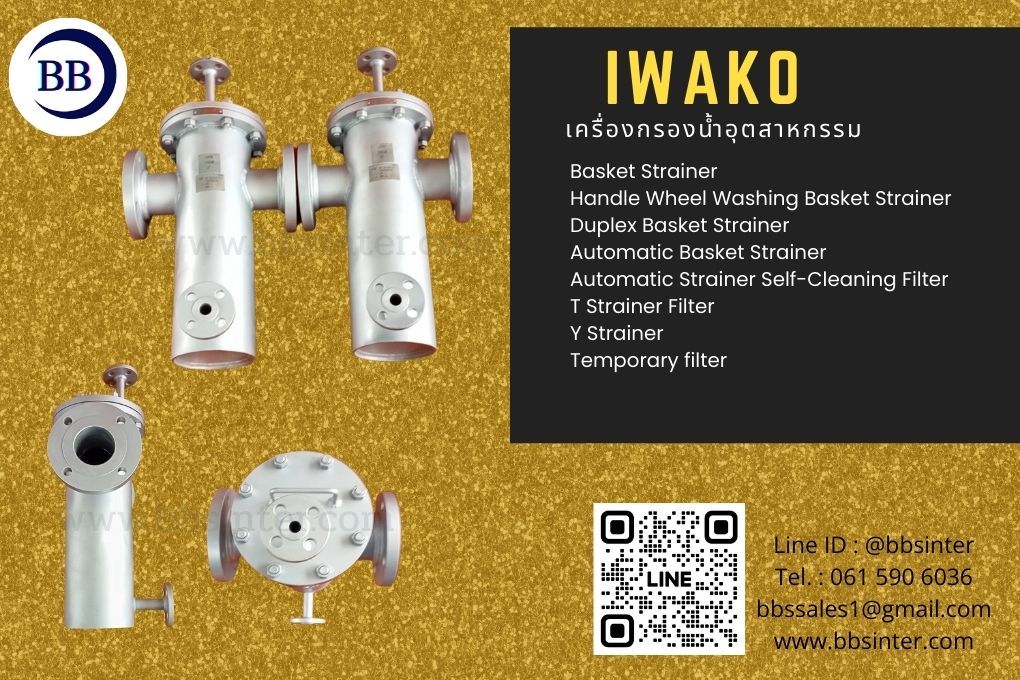 basket strainer maintenance guide