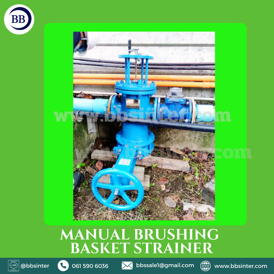 basket strainer manual brush