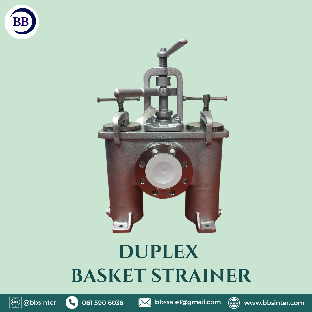 duplex basket strainer