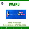 brass gauge valve with sight glass tube