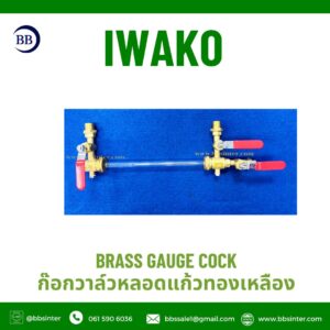 brass gauge valve with sight glass tube
