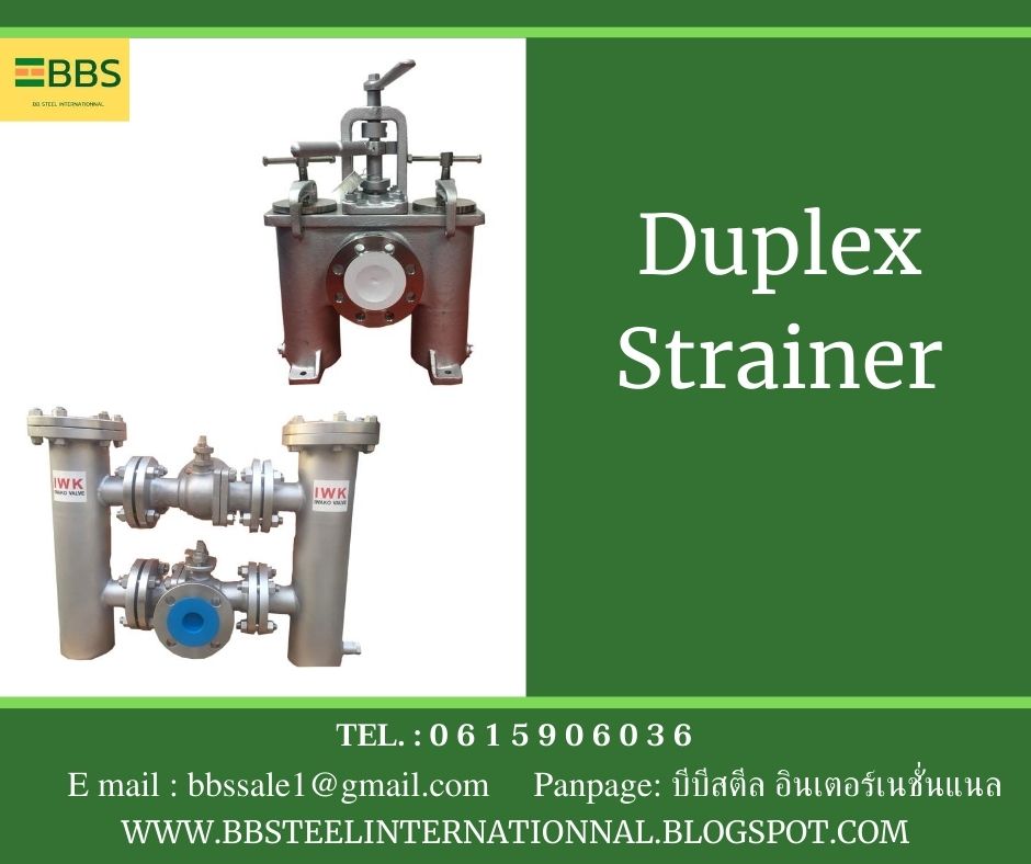 duplex basket strainer filtration