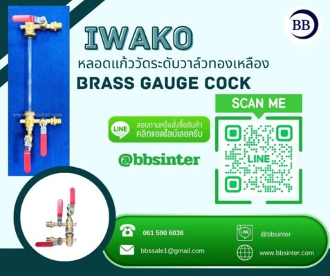 brass gauge cock sight glass iwako