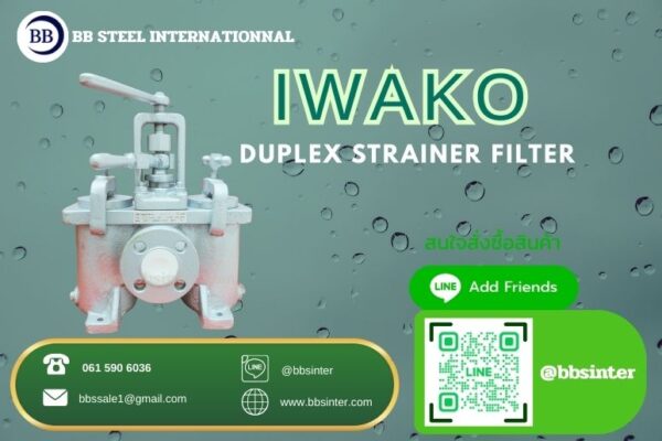 duplex and simplex basket strainer