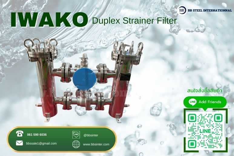 duplex strainer in industrial piping systems