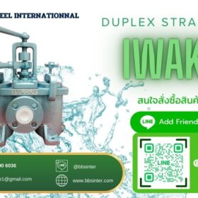 duplex strainer installation in cooling water