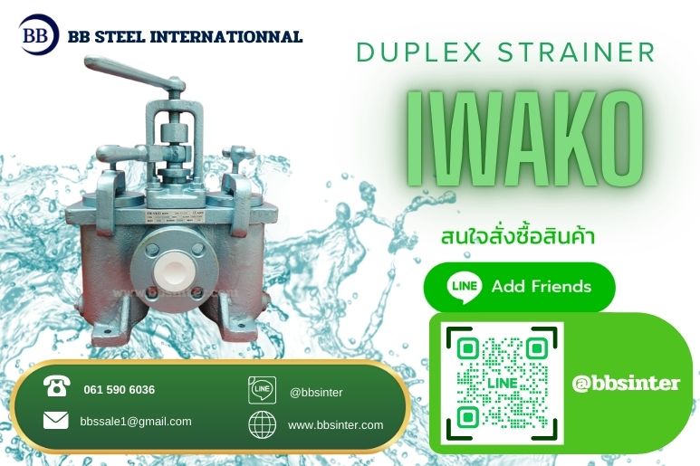 duplex strainer installation in cooling water