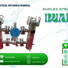 duplex strainer raw water intake installation